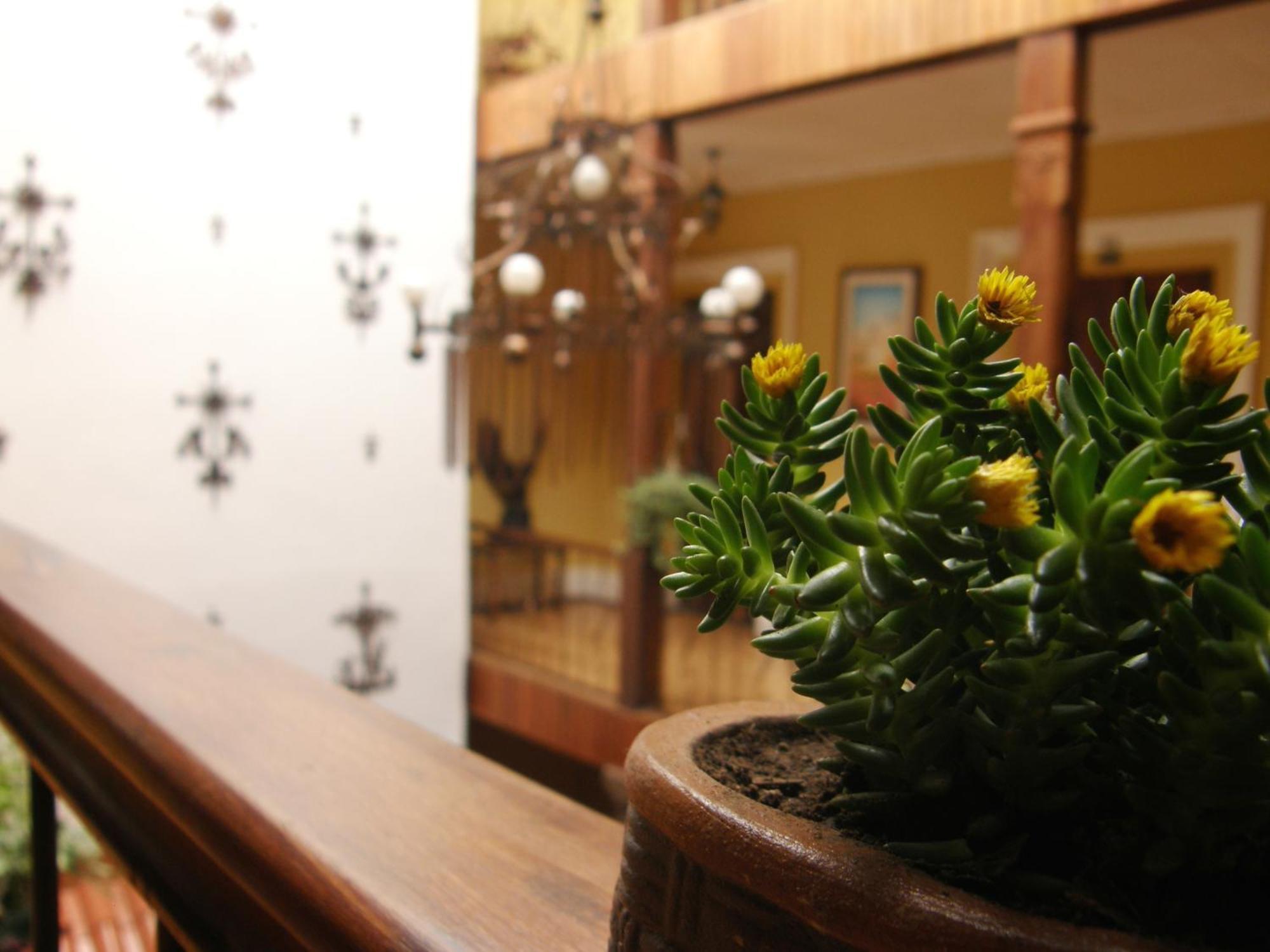 Mia Leticia B&B Quito Buitenkant foto